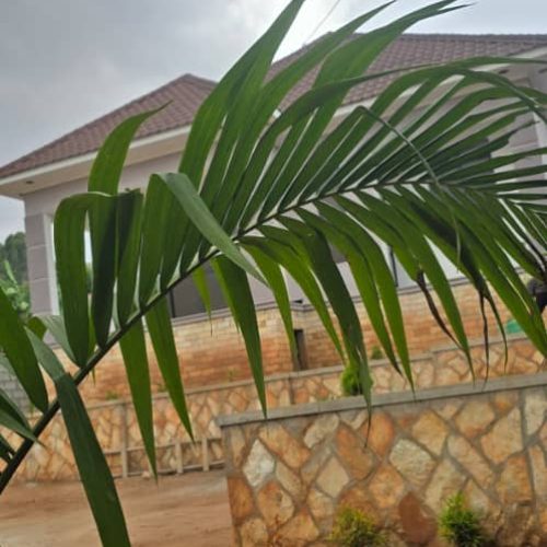 Gtew8C6SlciGC4zoho8i