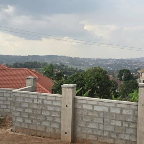 jZRgPZeLxDfw7xMzW6vr